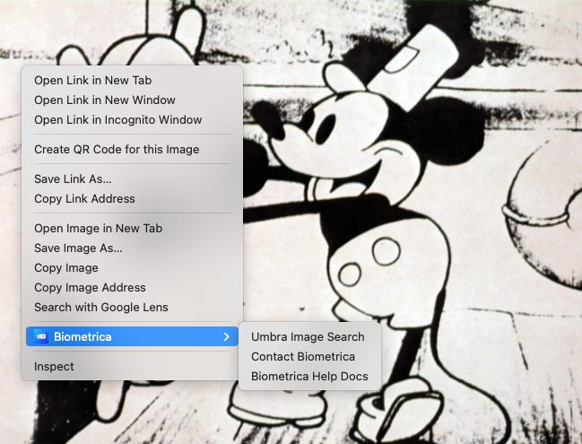 Image Search.png